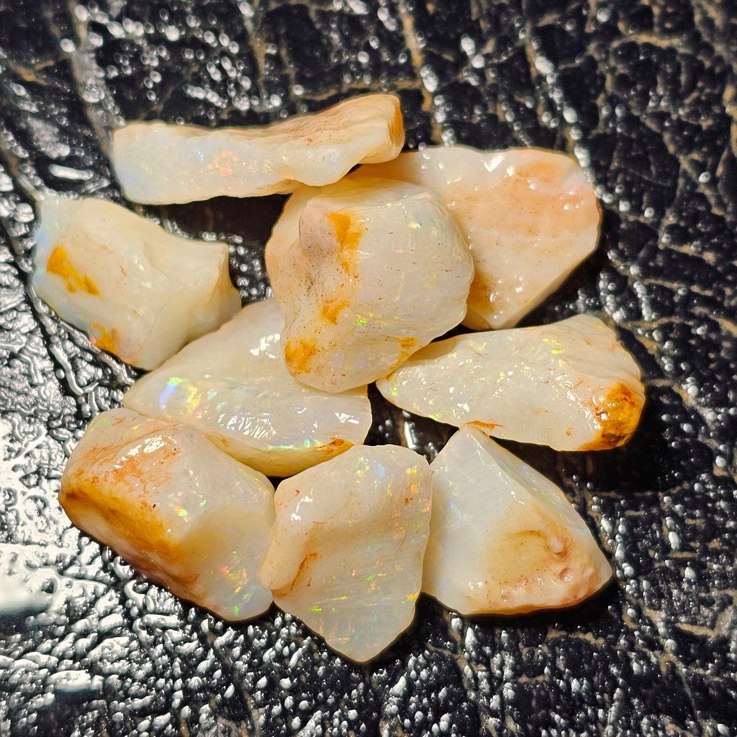 50ct Rough Opal Beginners Parcel