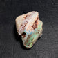 Opalised Shell Fossil