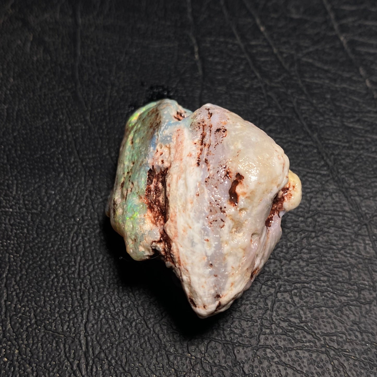 Opalised Shell Fossil