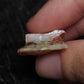 17ct Rough Opal Stone
