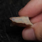 17ct Rough Opal Stone