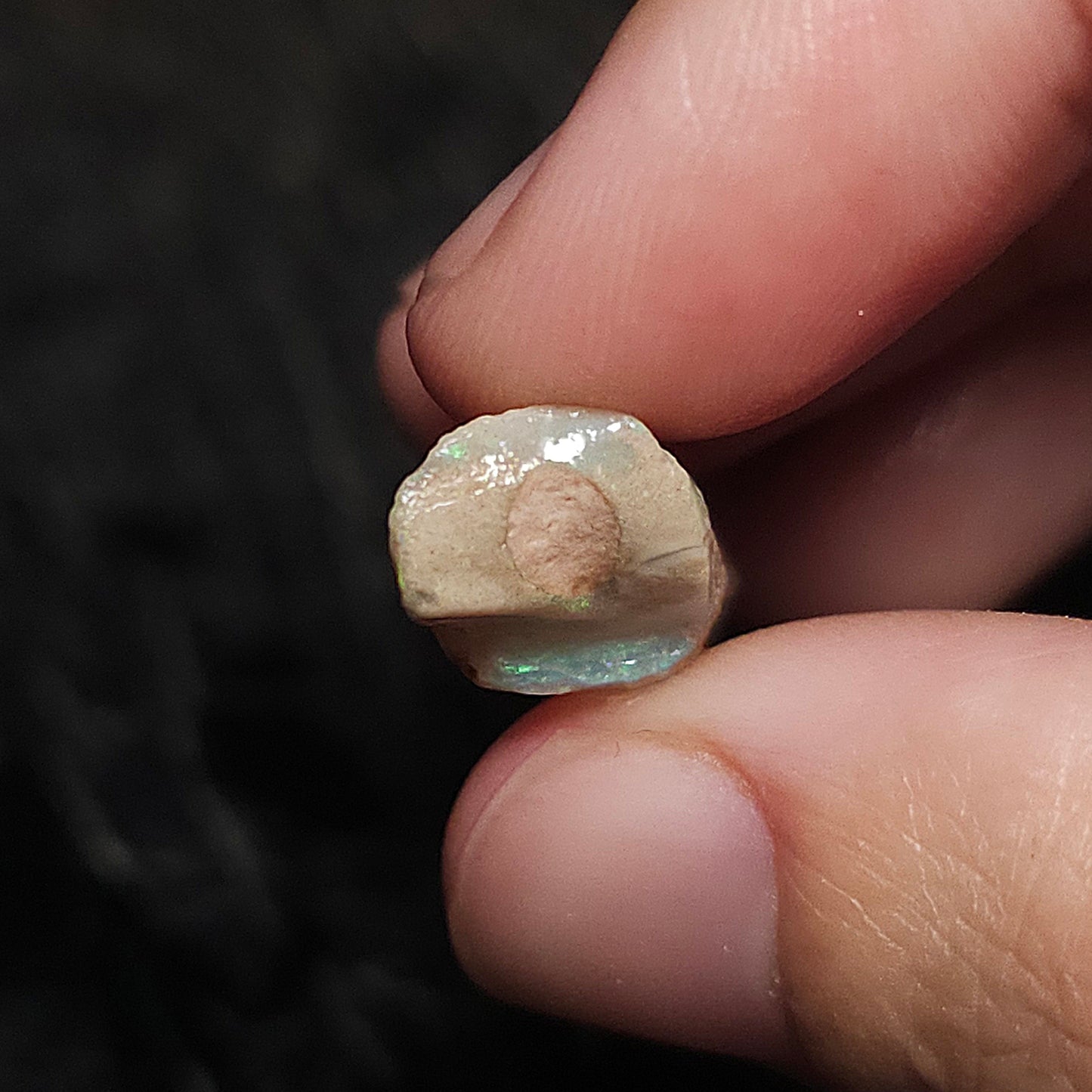 12ct Rough Opal Belemnite