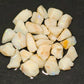 100ct White Based Coober Pedy Opal Parcel