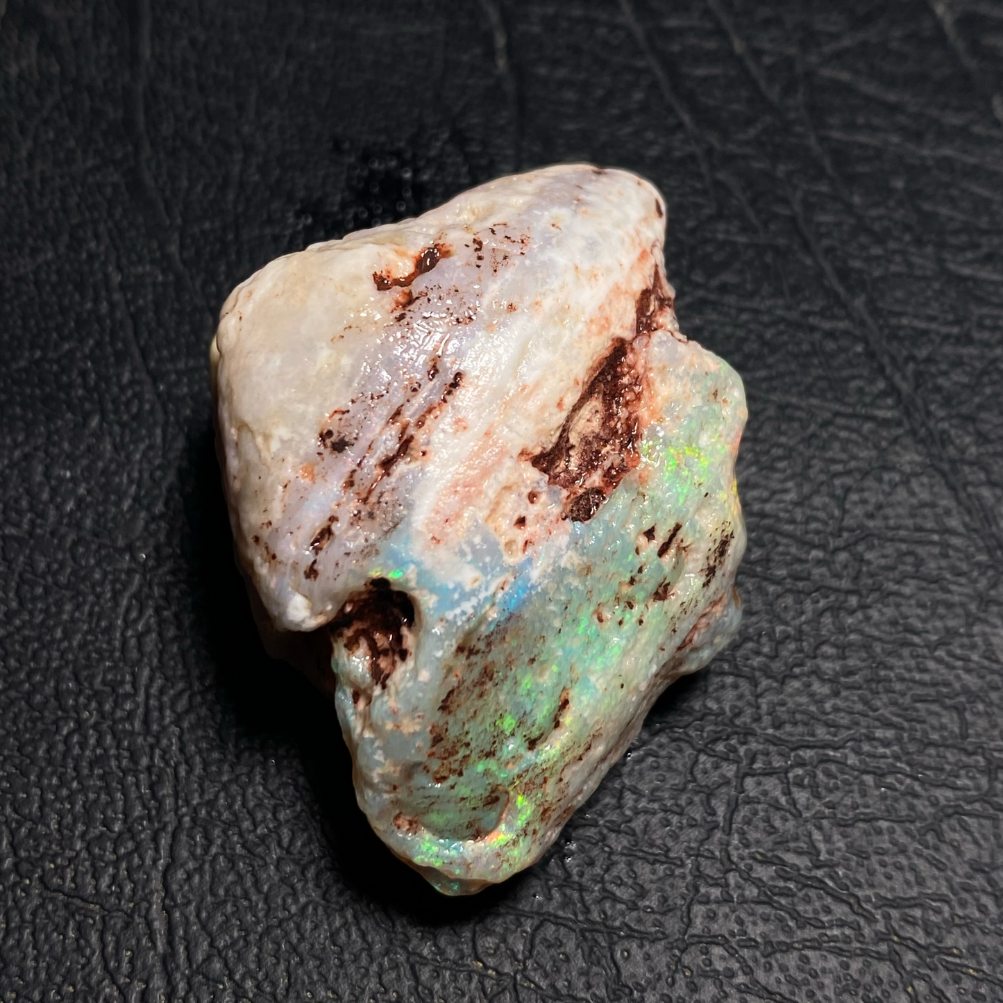 Opalised Shell Fossil
