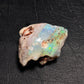 Opalised Shell Fossil