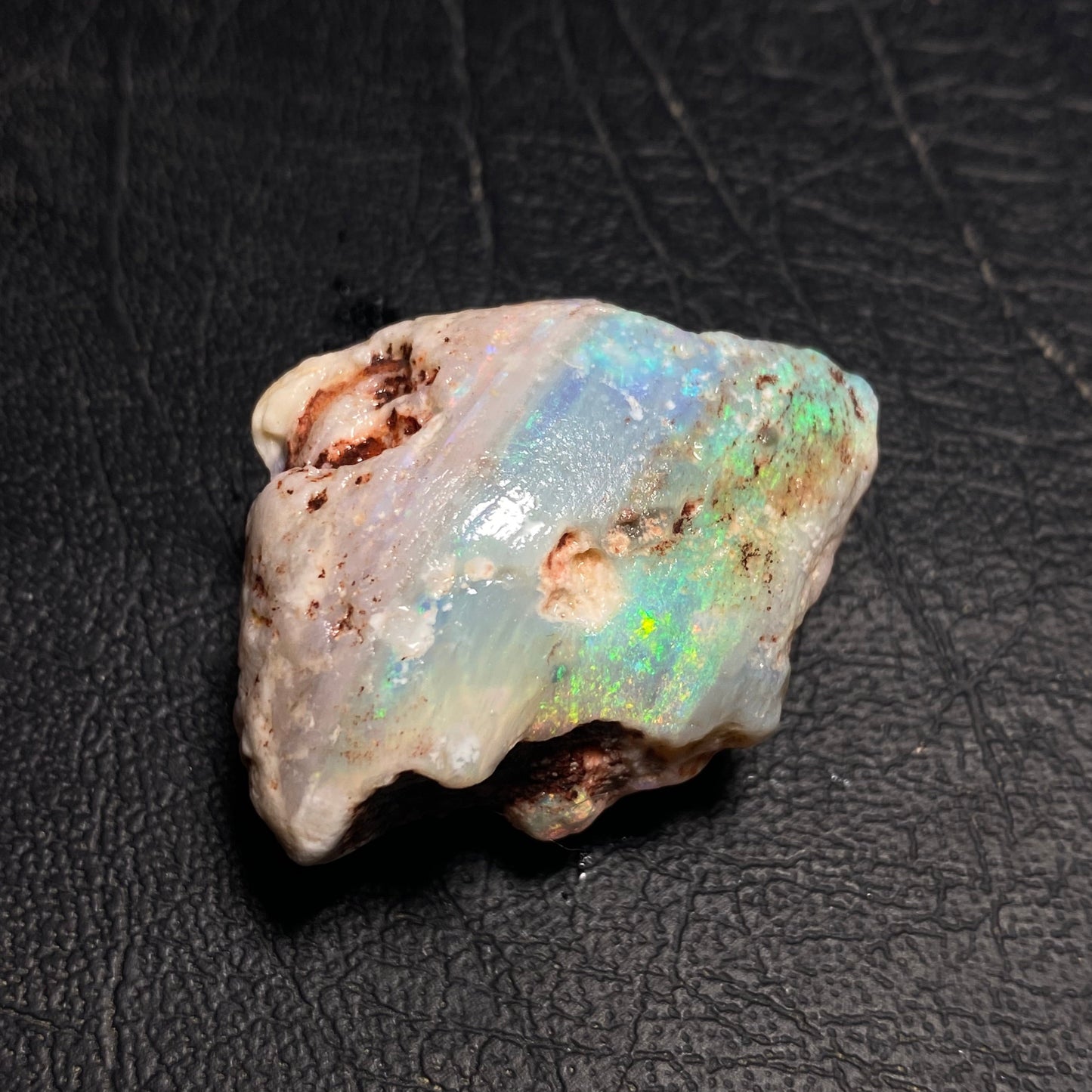 Opalised Shell Fossil
