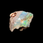 Opalised Shell Fossil