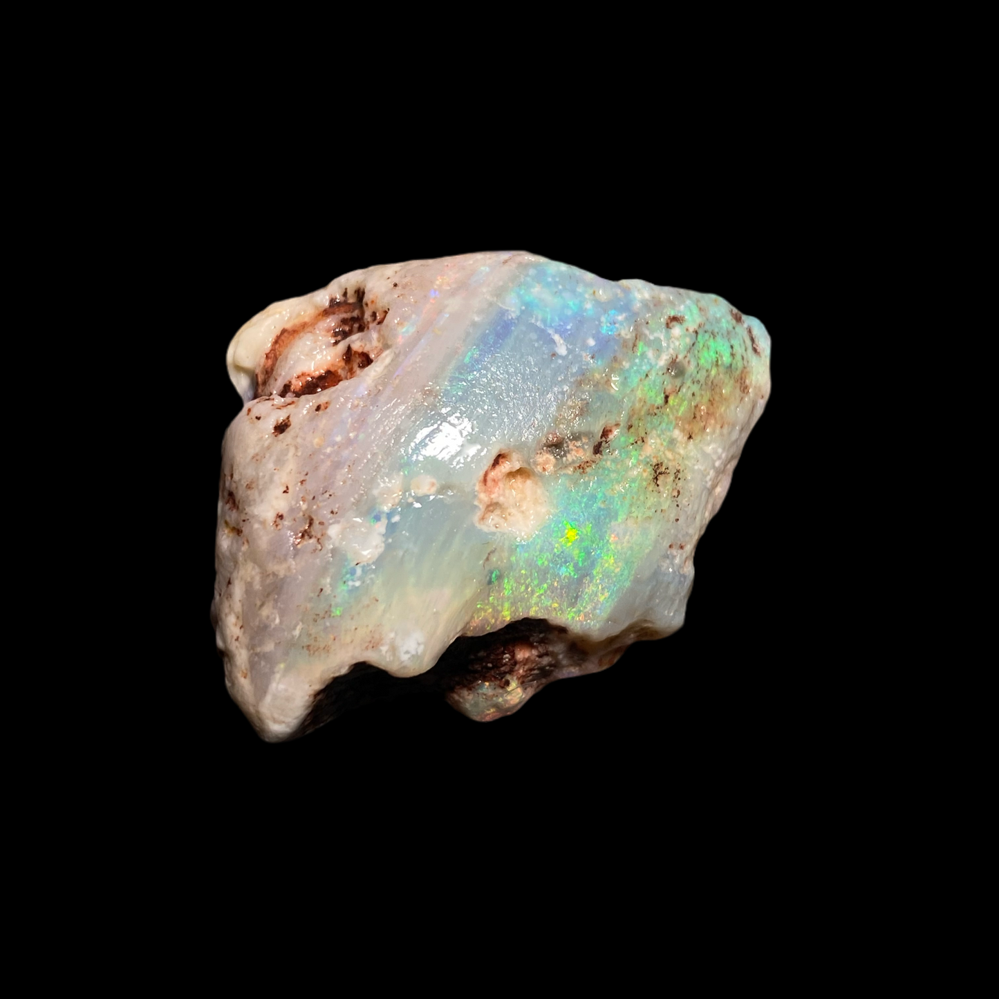 Opalised Shell Fossil