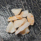 50ct Rough Opal Beginners Parcel