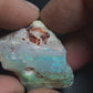Opalised Shell Fossil