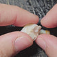 50ct Rough Opal Beginners Parcel