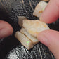 50ct Rough Opal Beginners Parcel