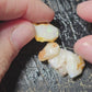 50ct Rough Opal Beginners Parcel