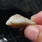 10ct Rough Opal Stone