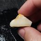 24ct Rough Opal Stone