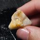 24ct Rough Opal Stone