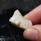 13ct Rough Opal Stone