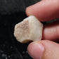 13ct Rough Opal Stone
