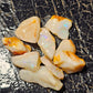 50ct Rough Opal Beginners Parcel